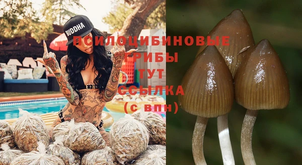 крисы Аркадак