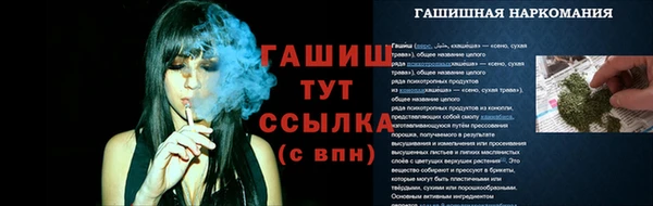 крисы Аркадак