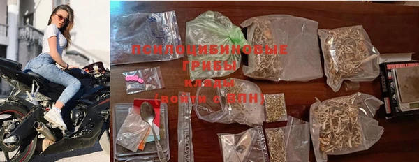 spice Армянск